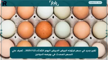تغير جديد في سعر كرتونة البيض الأبيض اليوم الثلاثاء 22-7-2025.. تعرف على السعر المحدث في بورصة الدواجن